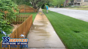 Articles 2 2023 03 04 05 51 31 TS Services - Professional Exterior Cleaning