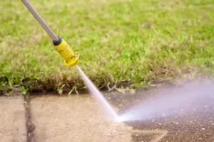 Articles 2 Pressure Washing Service