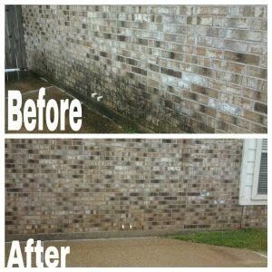 Articles 1 house washing benefits of having home soft washed TS Services - Professional Exterior Cleaning