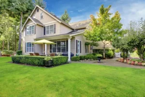 Articles 5 House Power Washing