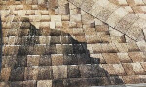 Articles 1 roof cleaning blog 3 9 21 TS Services - Professional Exterior Cleaning