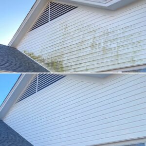 Roof Cleaning & House Washing